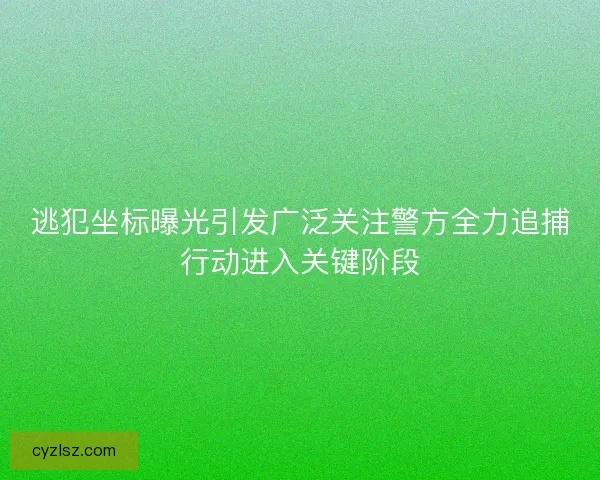 逃犯坐标曝光引发广泛关注警方全力追捕行动进入关键阶段