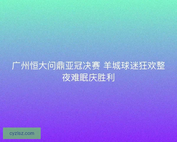 广州恒大问鼎亚冠决赛 羊城球迷狂欢整夜难眠庆胜利
